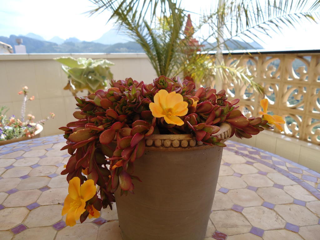 Villa Pico - Charming B&B Sella Екстер'єр фото