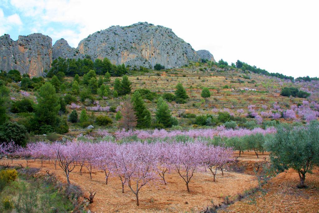 Villa Pico - Charming B&B Sella Екстер'єр фото